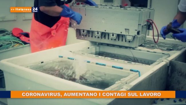 Tg News ore 13 – 16/6/2020