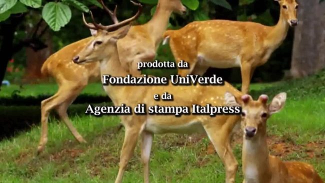 Madre Terra – Campania: Viaggiare e gustare.