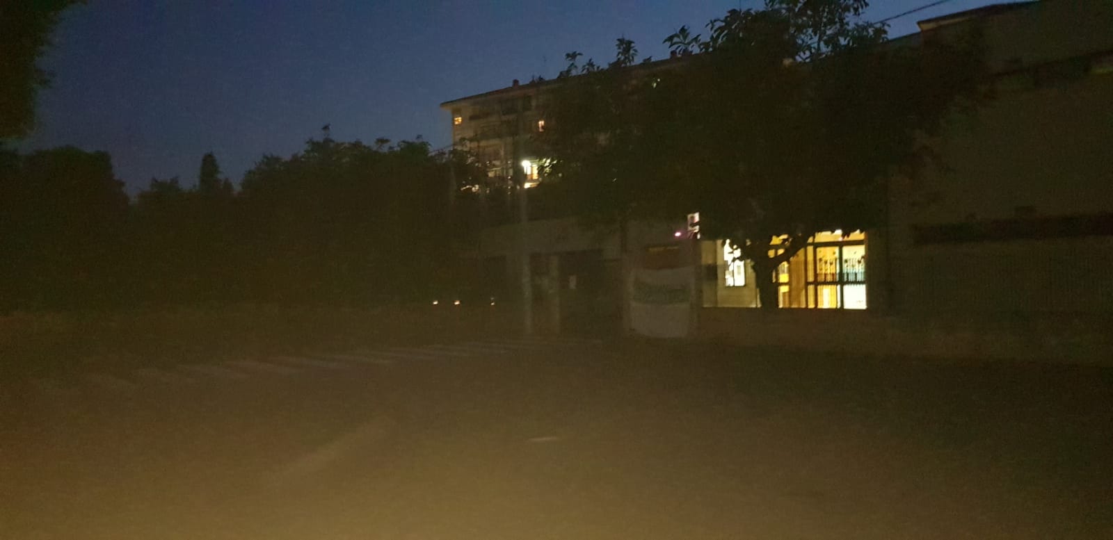 San Nullo, mancata potatura degli alberi. Zingale: “Fogliame fitto copre l’illuminazione”