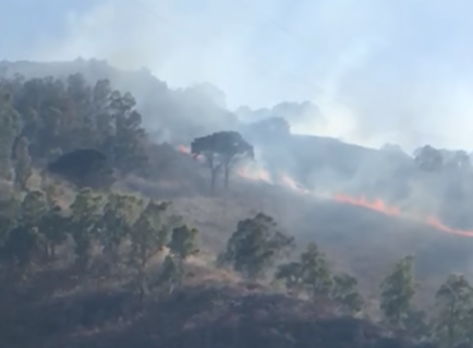 Fumo e fiamme alte alle porte della città, vigili del fuoco in azione con canadair – VIDEO