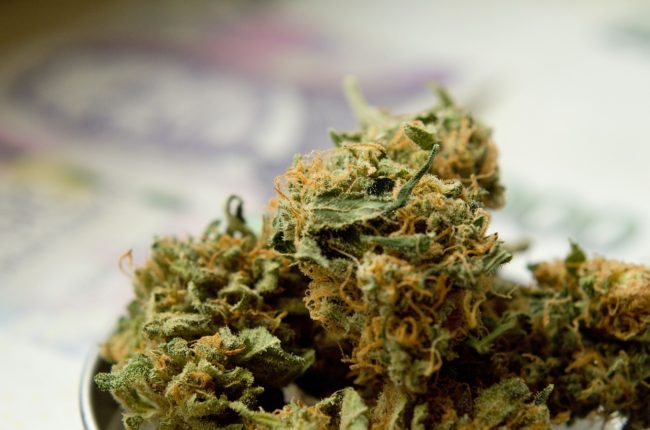 Giovane con marijuana in arresto, familiari aggrediscono i carabinieri