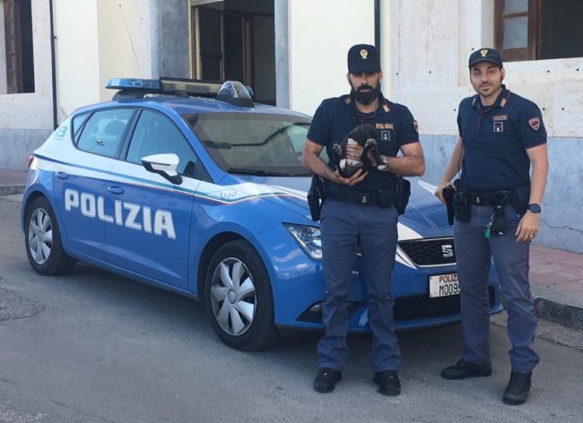 Picchia e lancia cagnolino contro auto, coppia litiga con rumeno: interviene la polizia, 46enne indagato