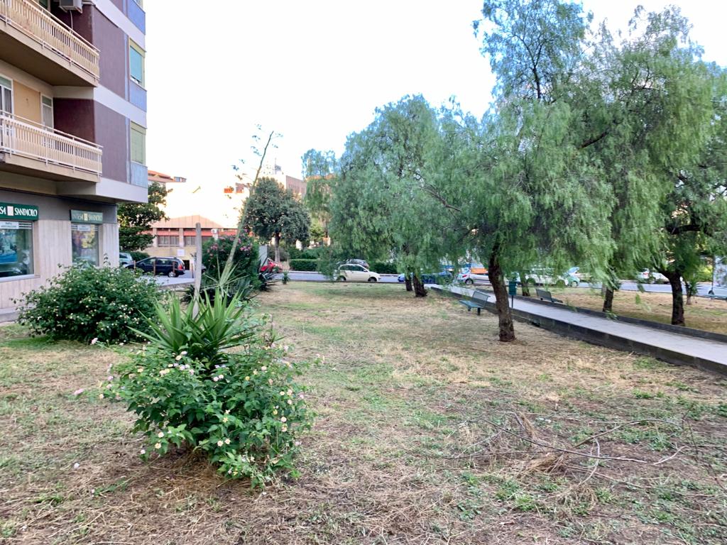 Catania, manutenzione del verde in via Fimia: la soddisfazione del presidente Ferrara