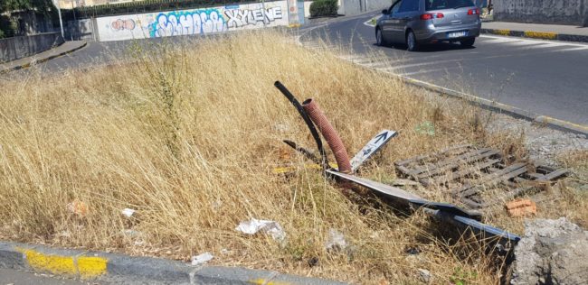 Catania, circonvallazione a rischio incendi. Zingale: “Vanno eliminate le erbacce secche” – FOTO