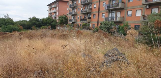 Sterpaglie pronte a prendere fuoco, randagi e pattumiere a cielo aperto in via Fasano e dintorni: la denuncia del consigliere Cardello