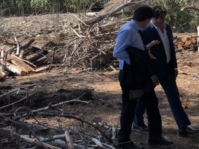 Boschetto della Playa: legname prodotto dopo riqualificazione ceduto gratis a chi farà richiesta