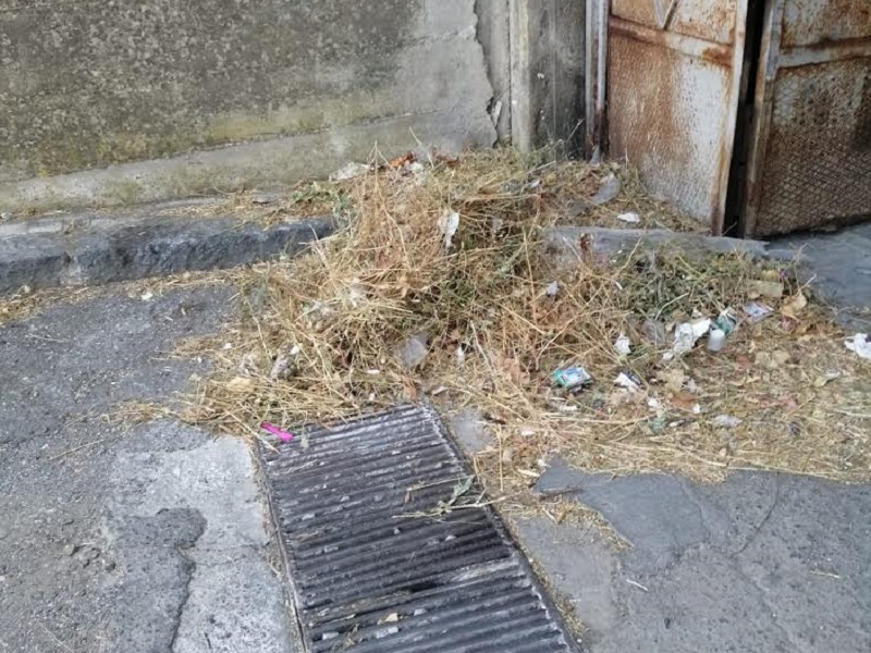 Catania, foglie secche davanti ai garage o ai bordi delle strada in via Don Minzoni: la denuncia di Zingale