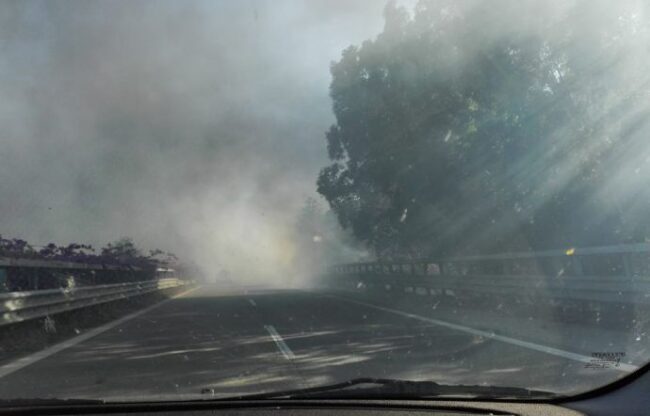 A18 e A20, le potenziali “trappole mortali” siciliane: chiesto incontro urgente al Prefetto di Messina