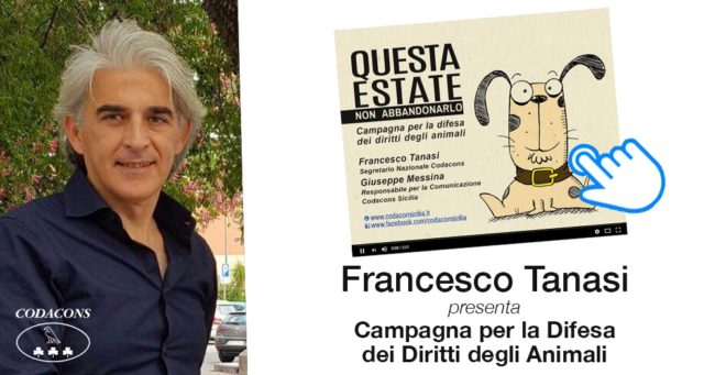 Codacons contro l’abbandono degli animali, Tanasi crea un video illustrato per spiegare la fine degli “amici pelosi” gettati via in strada