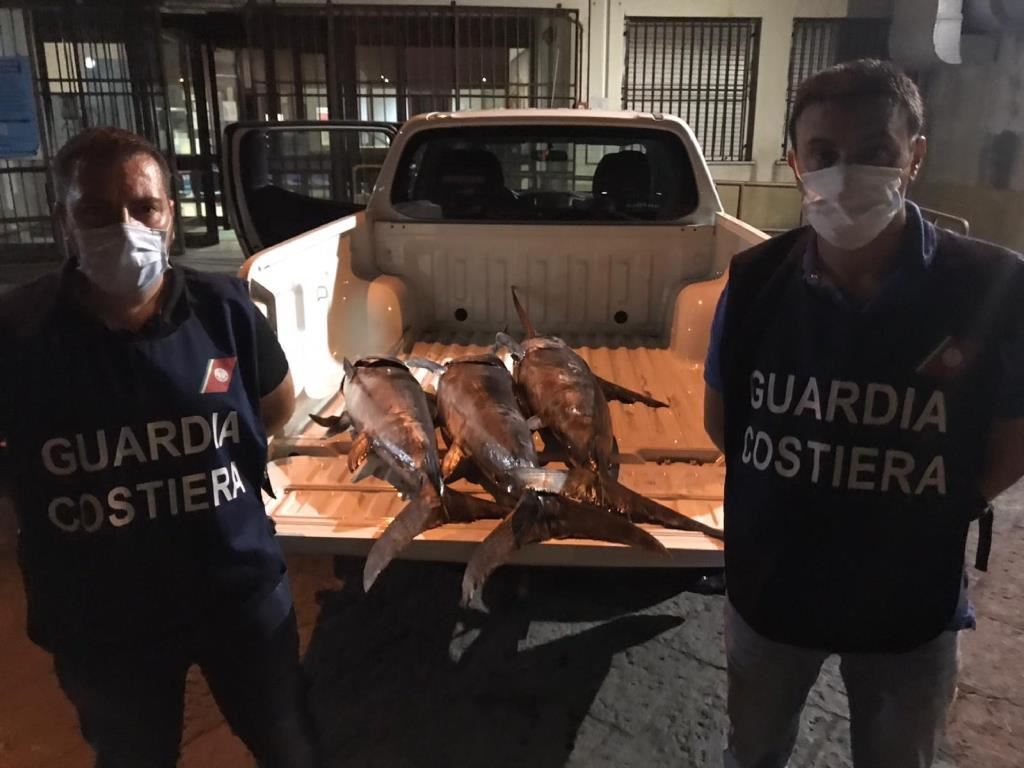 Operazione “Tuna & Sword”, la filiera della pesca catanese nel mirino della Guardia Costiera: i dettagli