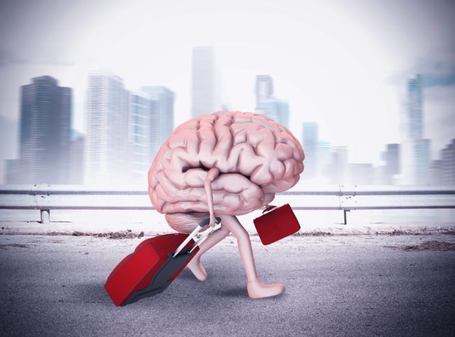No alla “fuga di cervelli”, imprenditori siciliani lanciano un progetto puntando sulle potenzialità di 24 giovani