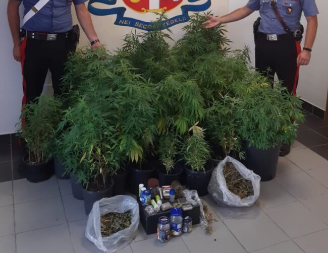 Piantagione di marijuana in casa: in manette “coltivatore” 35enne