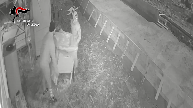 Furti, estorsioni e traffico di stupefacenti. Famiglia “lavora” commettendo crimini: ecco come terrorizzavano i quartieri – VIDEO