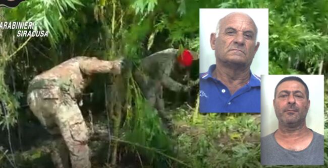 Colti ad innaffiare una piantagione di cannabis nascosta dalla vegetazione: in manette due pregiudicati