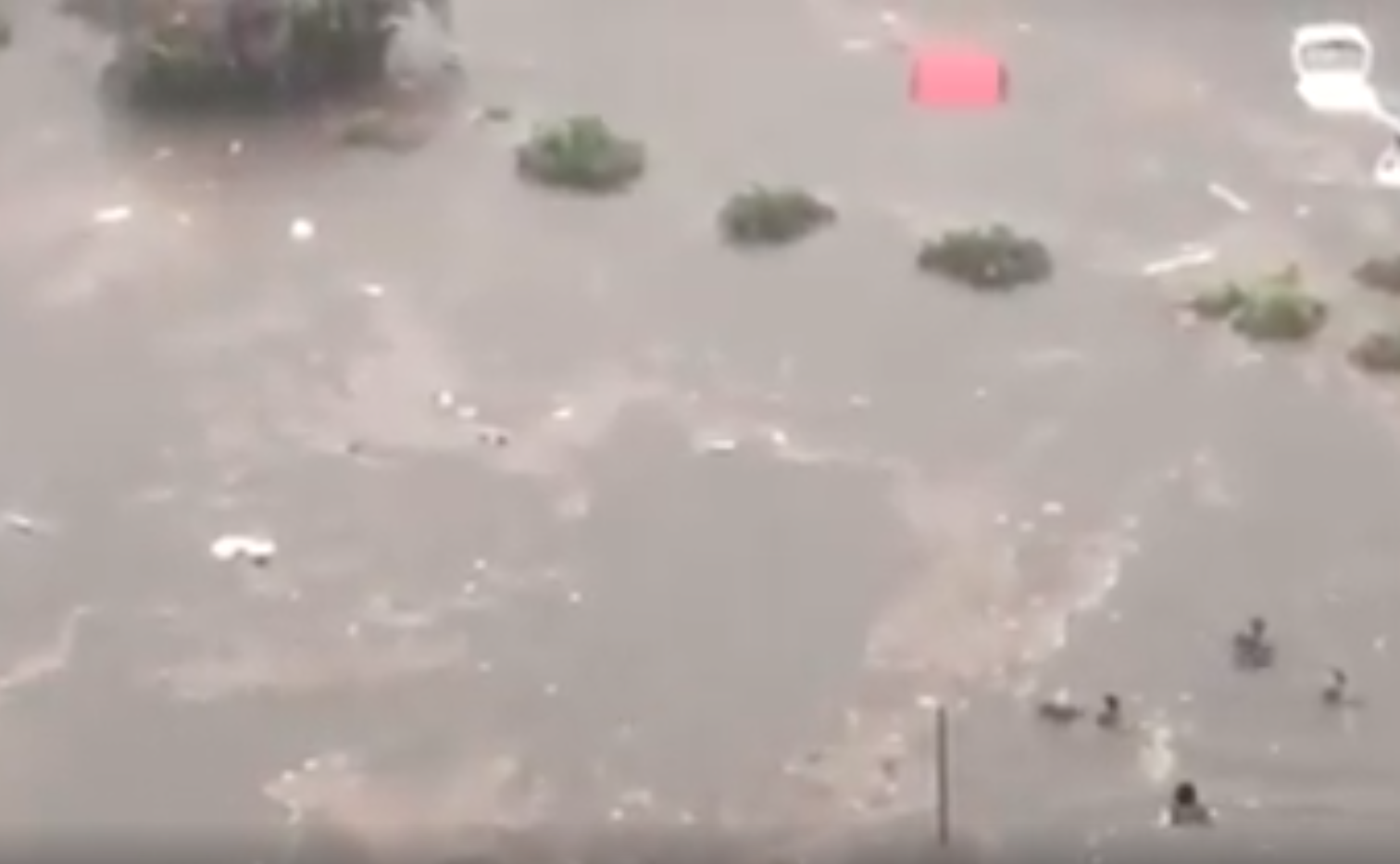 Tempesta choc a Palermo, automobilisti si mettono in salvo a nuoto – I VIDEO