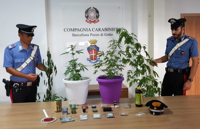 Blitz antidroga, trovati in appartamento 4 piante di cannabis e altri stupefacenti: arrestato pregiudicato