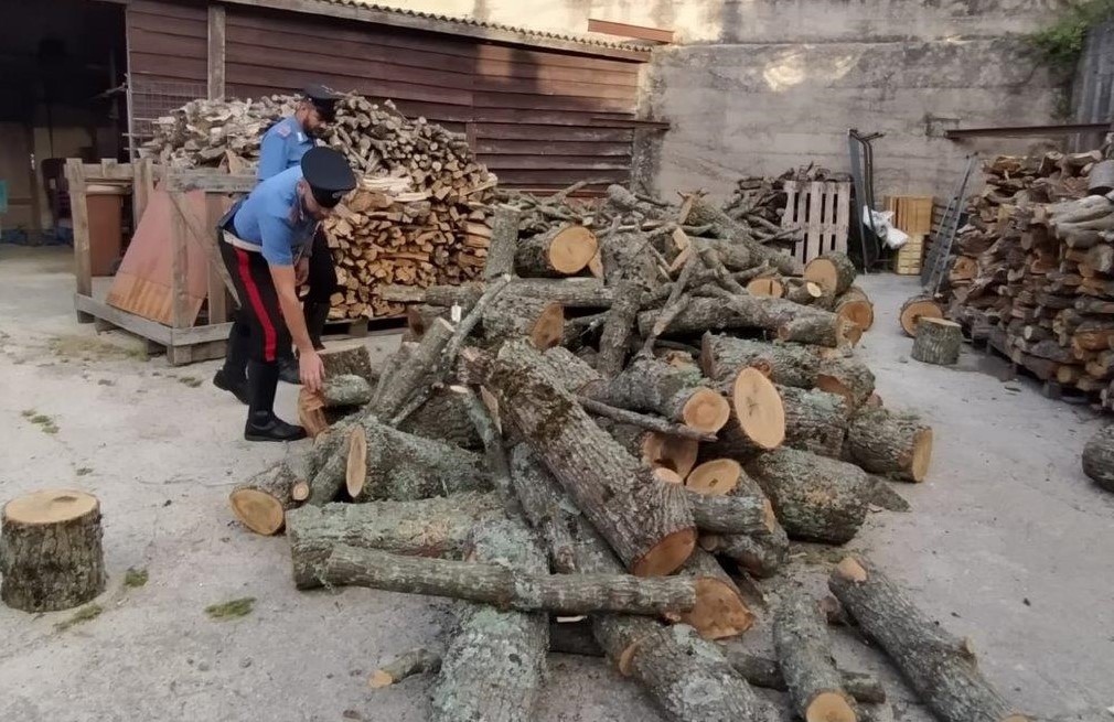 Tentano di rubare legna in area boschiva del Parco dei Nebrodi per rivenderla: due arresti
