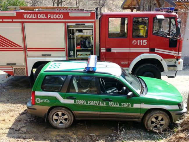Domenica di fuoco, incendi minacciano abitazioni: vigili del fuoco e Forestale in azione