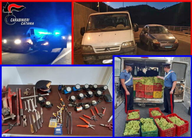 “Maestri” del furto d’uva scoperti nel Catanese: 6 arresti