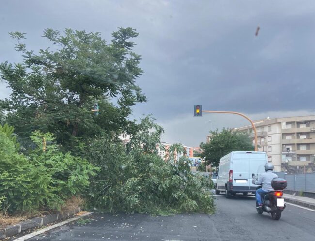 Bomba d’acqua nel Catanese, alberi caduti e strade allagate: disagi per gli automobilisti – VIDEO