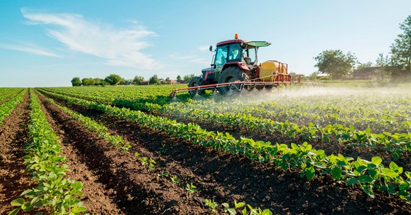 “Banca della terra”, la Regione affida 430 ettari di terreni agli imprenditori agricoli. Musumeci: “Nuove opportunità di lavoro”