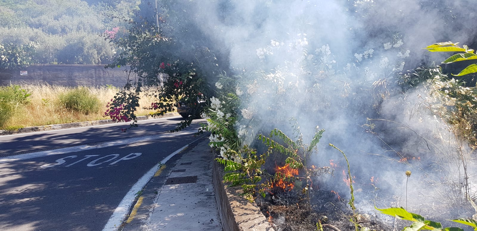 Allarme incendi a San Giovanni Galermo e San Nullo, la preoccupazione del consigliere Zingale