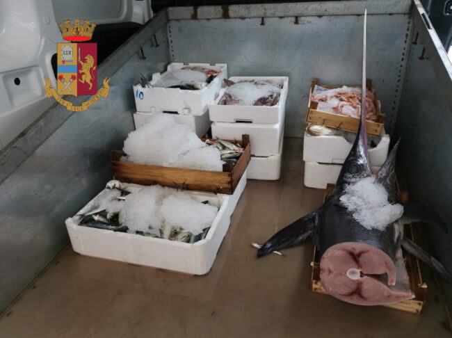 Controlli al mercato storico della Vucciria: due sequestri e multe per un totale di 20mila euro