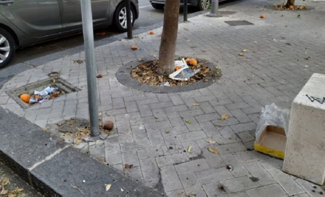 Catania, oasi verdi o discariche a cielo aperto? Comitato Vulcania: “Abbandono, degrado e scarsissima manutenzione”