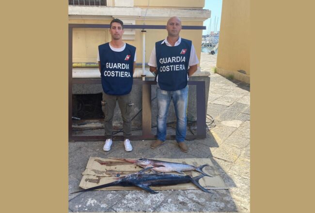 Catania, oltre 250 chili di pescato vietato: prodotti sequestrati e dichiarati non commestibili
