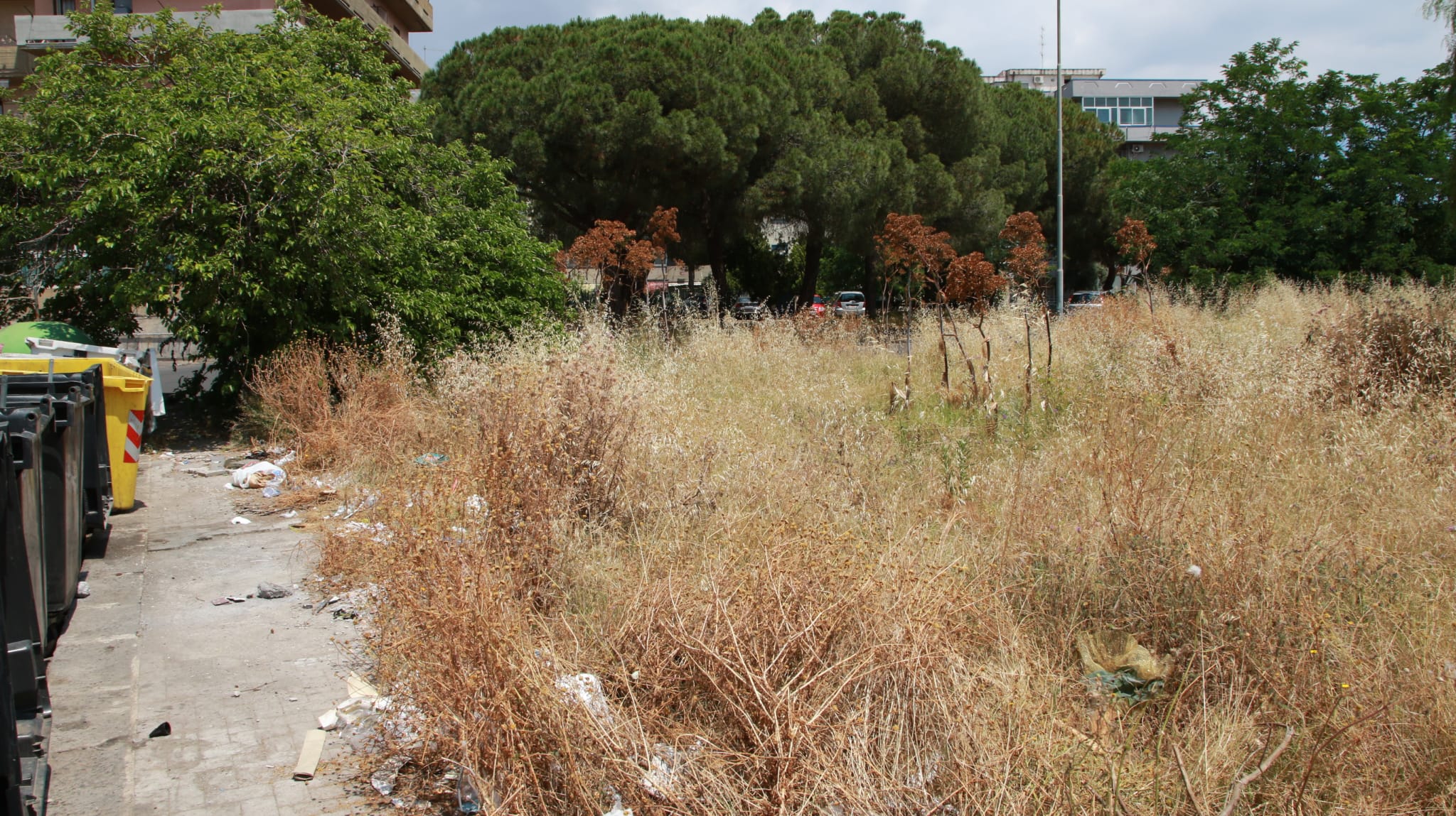 San Giovanni Galermo, abitanti in mezzo alla spazzatura: discarica abusiva con materiali pericolosi in via Don Minzoni