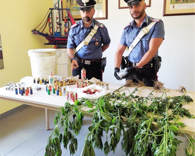 Blitz in un terreno del Catanese, 47enne denunciato: trovate armi, canapa, rifiuti e suini in cattivo stato