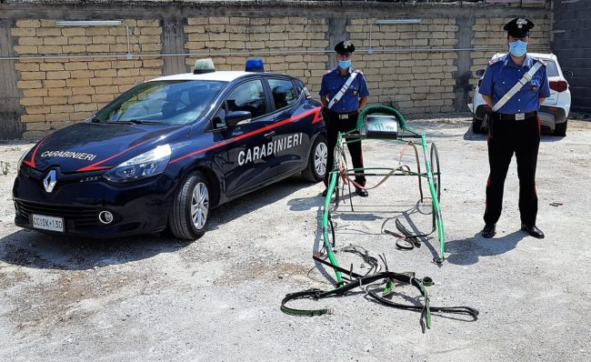 Corsa clandestina di cavalli all’alba nel Catanese: denunciate 16 persone, morto un animale