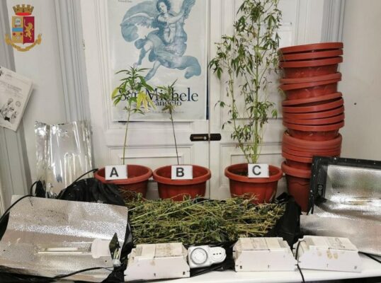 Marijuana in camera da letto e laboratorio per coltivazione canapa accanto al giardino: denunciato un giovane