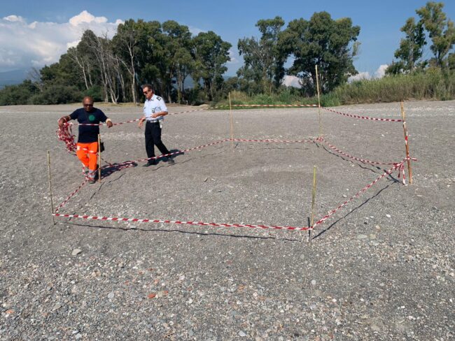 La caretta caretta torna a scegliere il Catanese: trovato nido sulla spiaggia di San Marco