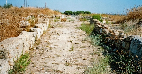 Riaprono l’area Lentinoi e Megara Hyblaea: accessi gratuiti e ridotti per gli spettacoli archeologici siciliani – i DETTAGLI