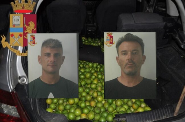 Rubano 500 chili di limoni da un fondo agricolo: ai domiciliari due catanesi “in trasferta”