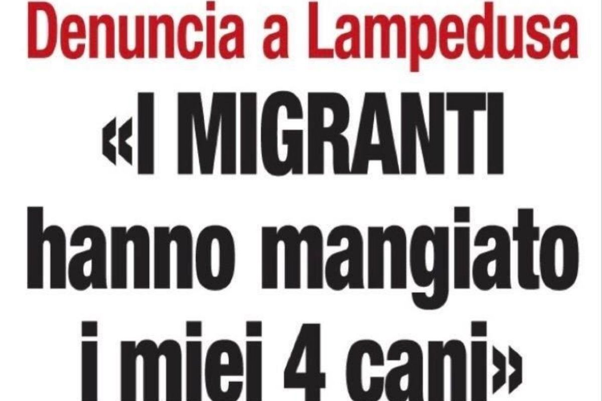 Orrore a Lampedusa, denuncia shock: “I migranti hanno mangiato i miei quattro cani”