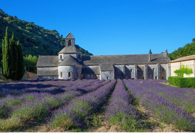 Festa della Lavanda Provenza