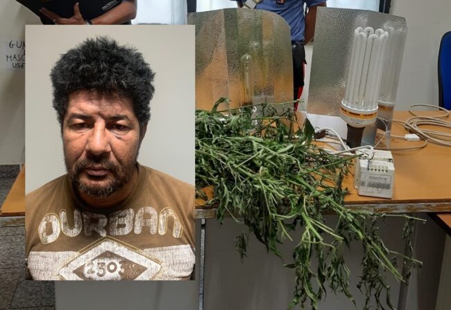 Coltivazione e detenzione di droga, rubava energia elettrica pubblica: ai domiciliari un tunisino