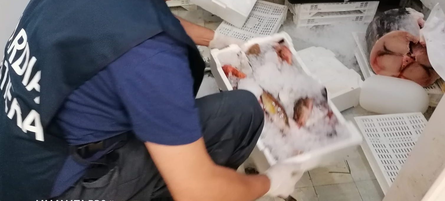 Pesce privo di tracciabilità in pescheria: sequestrati 15 chili di prodotti, titolare multato