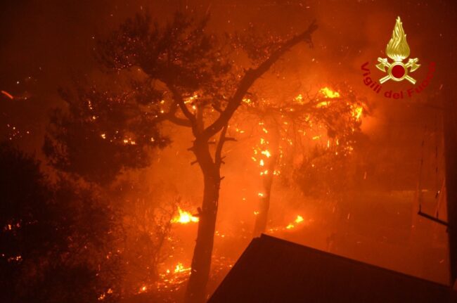Incendi devastanti ad Altofonte, probabile l’origine dolosa: verrà aperto un fascicolo