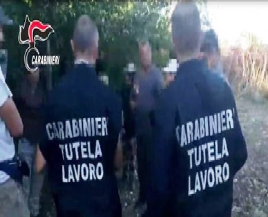 Controlli ad imprese agricole: 11 irregolari, una in nero. C’era chi percepiva il Reddito di Cittadinanza