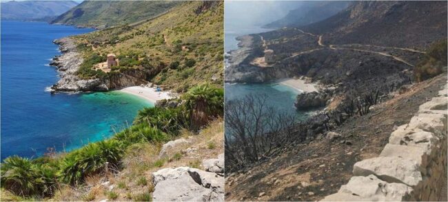 La bellezza naturale della Riserva dello Zingaro deturpata da un incendio: “Un simbolo può bruciare senza morire”