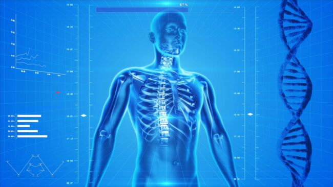 “Green Bone Ortho”, un valido alleato contro i difetti ossei