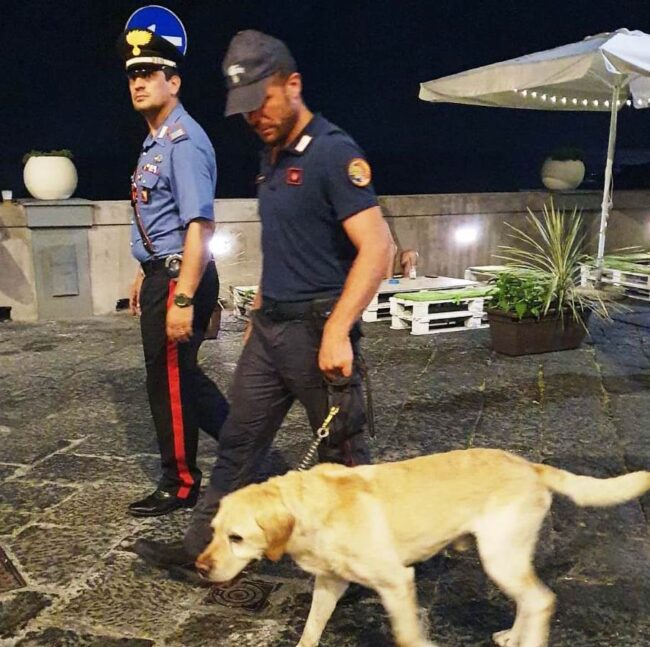 Giovani assuntori segnalati e 2 veicoli sequestrati: i controlli dei carabinieri nel Catanese