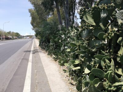 Via Ballo segnalazione Buceti