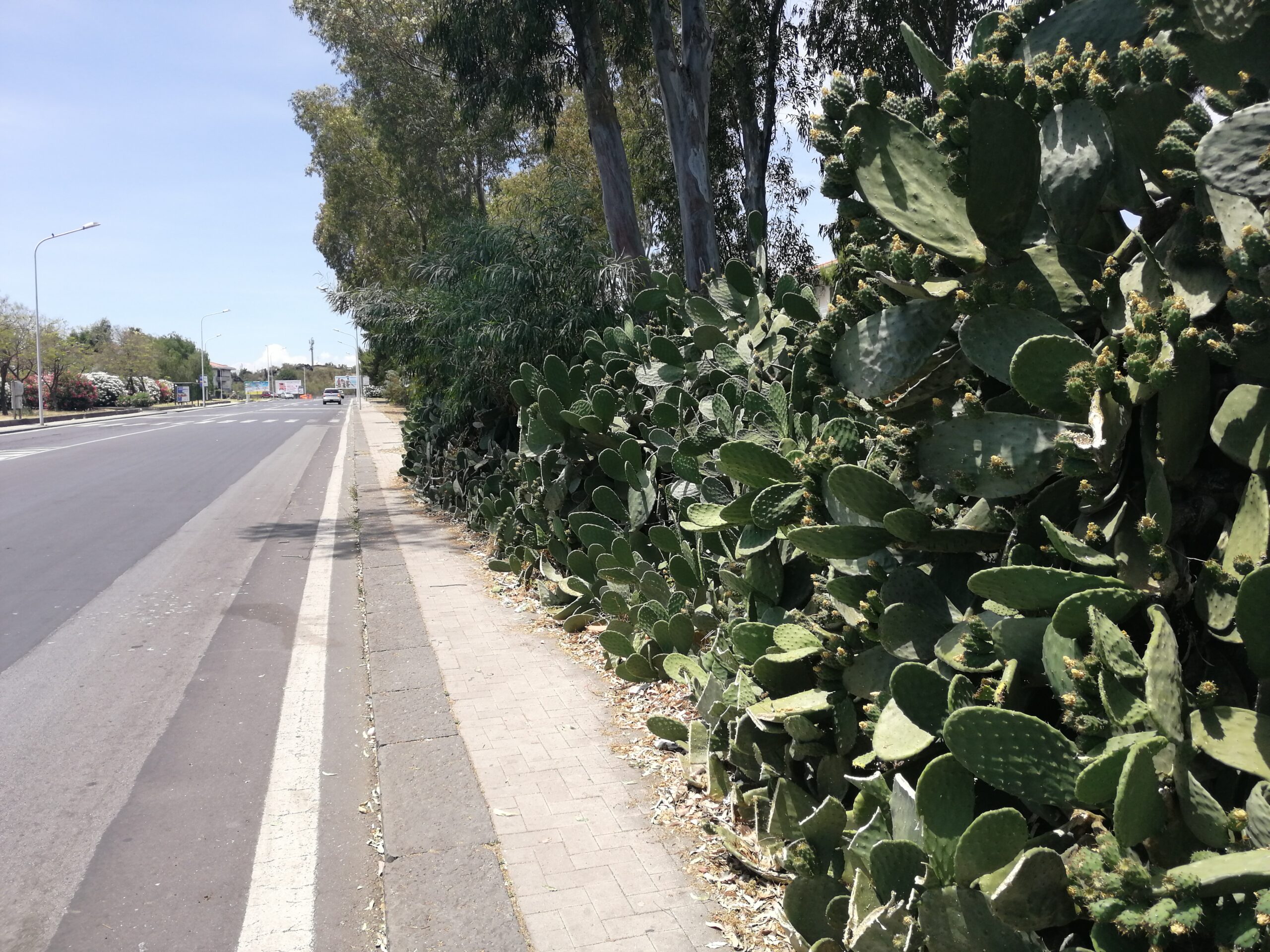 Via Ballo e piazza Ignazio Roberto a Cibali, una sicurezza stradale ancora impossibile