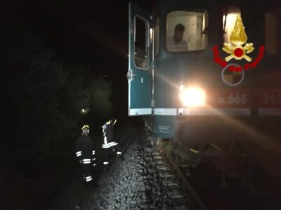 Incidente gregge ovini 2