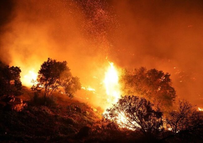Notte di fuoco nel Palermitano, lingue di fuoco distruggono vegetazione e minacciano i residenti