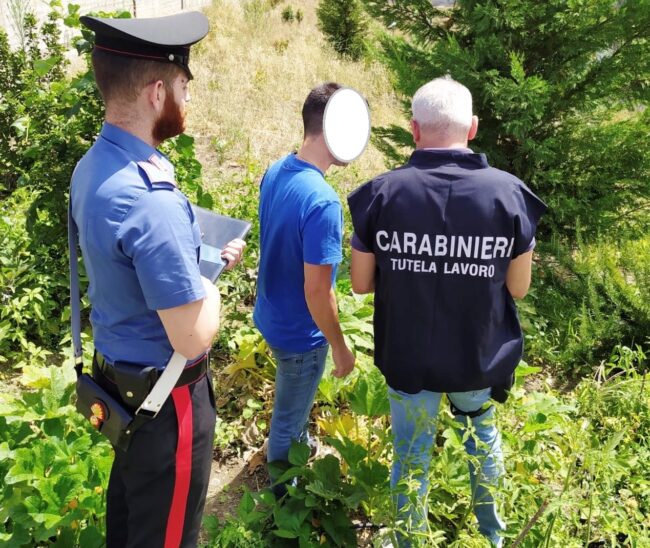 Attività ispettiva in aziende agricole del Catanese: su 23 lavoratori identificati, 14 erano in nero